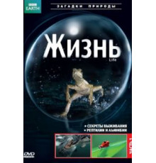 BBC: Жизнь 1 сезон  (2009)