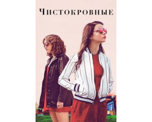 Чистокровный смотреть онлайн Чистокровный смотреть онлайн
