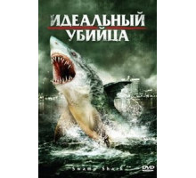 Идеальный убийца (2011)