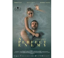 Идеальный враг (2020)
