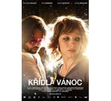 Крылатое Рождество (2013)