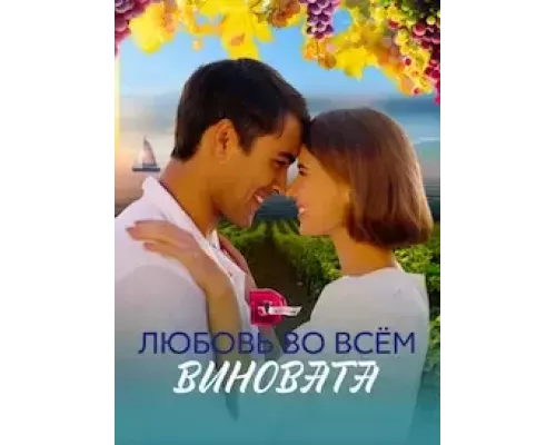 Любовь во всём виновата 1 сезон  сериал 