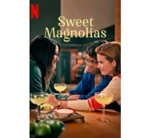 Милые магнолии 1-4 сезон  (2020)
