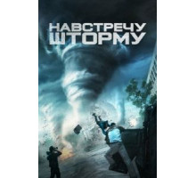 Навстречу шторму (2014)