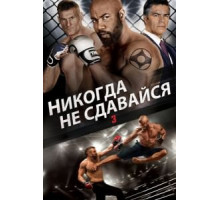 Никогда не сдавайся 3 (2016)