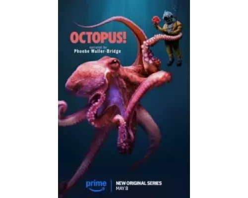 Осьминог! 1 сезон сериал Осьминог! 1 сезон сериал