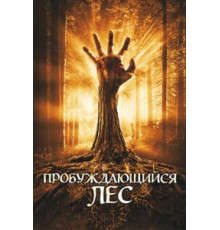 Пробуждающийся лес (2009)