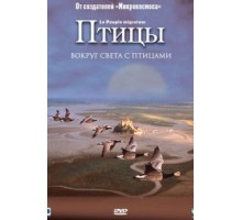 Птицы (2001)