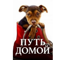 Путь домой (2019)