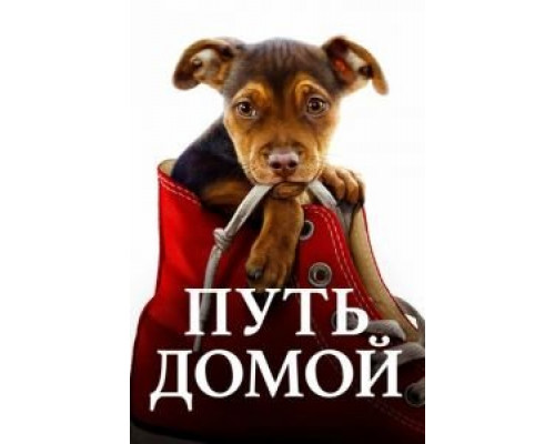 Путь домой смотреть онлайн Путь домой смотреть онлайн