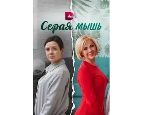 Серая мышь 1 сезон  сериал 