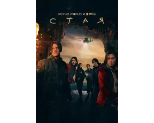 Стая 1 сезон   сериал 