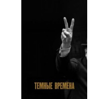 Темные времена (2017)