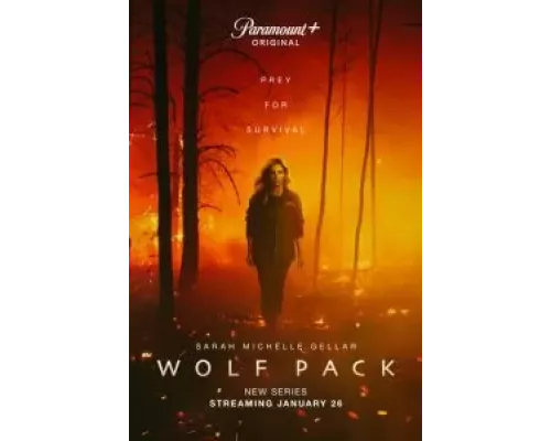 Волчья стая 1 сезон   сериал 